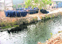 The Buddha Nullah tells its tale of woes how it changed from a sacred water body to a stinking stream.