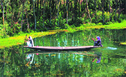 Boating in the Dal Lake in Srinagar.