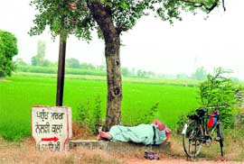 A farmer enjoys a nap on a warm afternoon in Punjab.