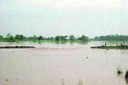 Villages marooned by Swan rivulet water in Anandpur Sahib. 