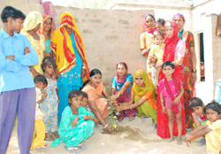 Saplings being planted by people in different areas of Sriganganagar and Hanumangarh district.