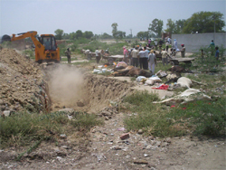 A JCB machine digging the pit for burying dead cattle in Fazilka.
