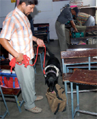 An anti-sabotage squad carries out checks following a hoax bomb call at Guru Harkrishan Public School in Bathinda on Thursday.