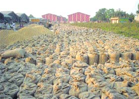 Paddy lying at a Nawanshahr mandi