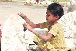 A girl gives finishing touches to an idol of Lord Ganesha in Hisar