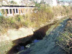 Industrial waste from the Golthai industrial area finds way into the Nangal national wetland
