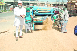 A farmer at the Khanna Grain Market. Photo by writer