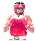 Vijender Singh