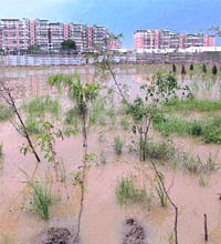 Waterlogging near Commonwealth Village makes the area prone to mosquito breeding and spread of the dengue in New Delhi on Wednesday.&nbsp;