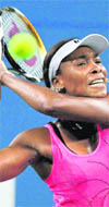 Venus Williams