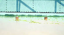 Water flows towards Pakistan from the Hussaniwala headworks on Monday.