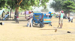 Paddy lying in Sirhind grain market