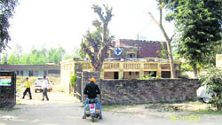 The 200-year-old building near Kharar police station, which serves as Mohali�s only government vet clinic, is in a dilapidated state.