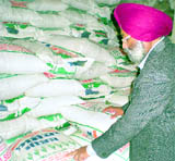 The district health officer, Dr RS Randhawa, inspects the bags of subsidised wheat seeds stored at a flour mill in Bathinda on Sunday.