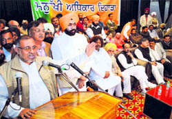 Rajya Sabha MP and in-charge of All India Human Rights Cell, BJP, Avinash Rai Khanna at a function in Patiala on Sunday