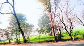 Complaints have been filed against some officials of the forest department for issuing no-objection certificates in lieu of money.