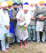 Baba Sewa Singh Khadoor Sahibwale waters a sapling at Khadoor Sahib.