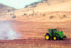 Burning of paddy stubble, which is a common