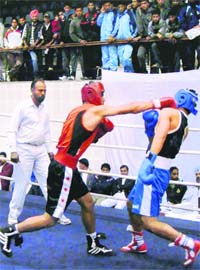A boxing match in progress during the Punjab Games in Patiala