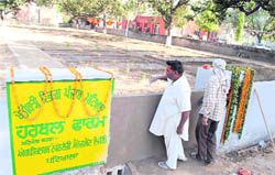 A view of the herbal farm in Patiala
