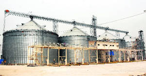 While farmers have been crying for space, these four silos lie unused at Mulechuk village of Amritsar