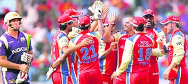 Royal Challengers Bangalore's Carl Langeveldt celebrates the wicket of Kolkata Knight Riders' Jacques Kallis with teammates during their match in Bangalore 
