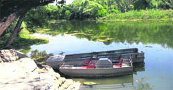 Paddle boats at the Kanjli Lake in Kapurthala.