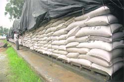 Foodgrain stocks at a FCI godown in Patiala