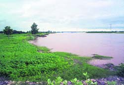 The rising waters of the Sutlej in Moga district.