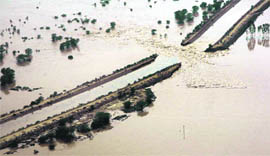 A breach in the Hansi-Butana canal in Patiala