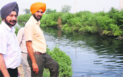 PPCB officials inspect the Kala Sanghian drain in Jalandhar on Friday. 
