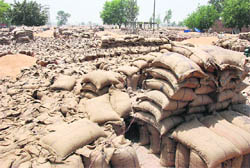 Stock of 20 lakh tonne improperly stacked wheat has to be lifted