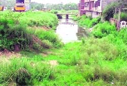 The clogged Sirhind rivulet at Fatehgarh Sahib.