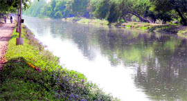 The Sirhind canal in Bathinda.