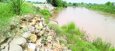 Torn sand bags on the embankment of the Ghaggar near Munak. 