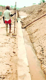 The toe wall  (at the ground level) along the Ghaggar bundh at Tatiana village in Haryana 
