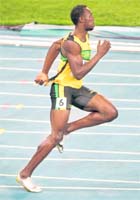 Usain Bolt sprints in the 200 metres semi-final heat at the IAAF World Championships in Daegu on Friday.