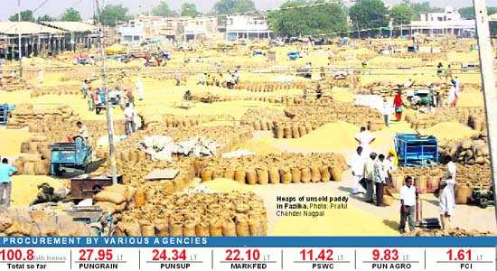 Heaps of unsold paddy in Fazilka