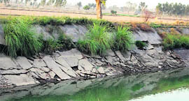 The Indira Gandhi canal in Abohar.