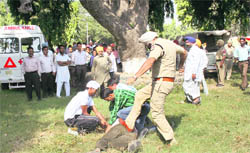 A policeman beats up unemployed linemen while they were on their way to CM's Sangat Darshan in Faridkot