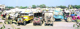 Tractor-trailers laden with cotton 