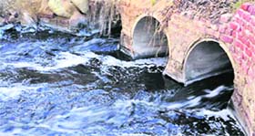 A polluted drain in Patiala