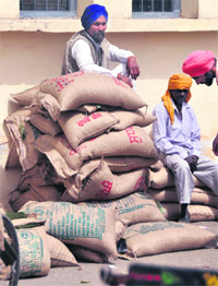 Farmers sit on a heap of seed bags at the Kisan Mela in Ludhiana. 