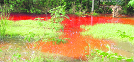 A file photo of water turned red by acidic effluents released from industrial units in Ludhiana.