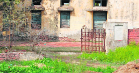 A health sub-centre amidst sewage and heaps of garbage and cow dung at Rania village.