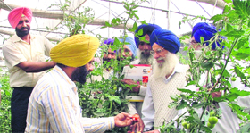 Davinder Singh (sitting) interacts with farmers at Mushkabad village in Ludhiana.