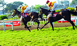An international racecourse will come up in Ludhiana