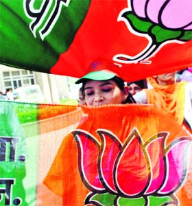 A supporter with a party flag during an election rally in Patiala on Tuesday
