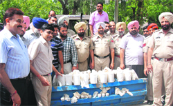 Policemen with the seized heroin. Tribune photo: Pawan Sharma