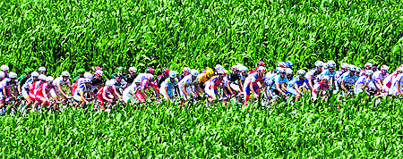 The pack rides past a field in the 199 km and seventh stage of the 2012 Tour de France on Saturday